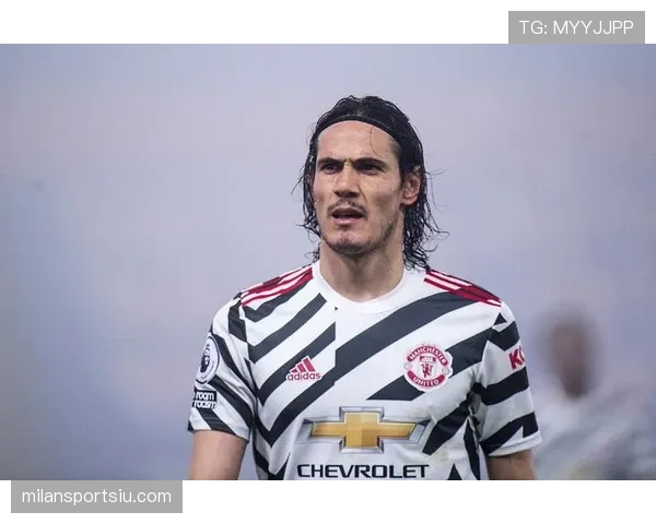 卡瓦尼与伊布在禁区内贡献差异下形成单点驱动趋势